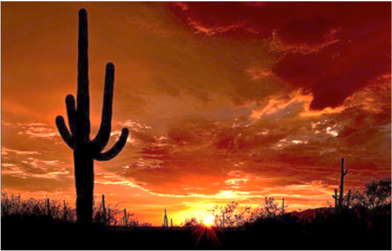 Tucson Sunset