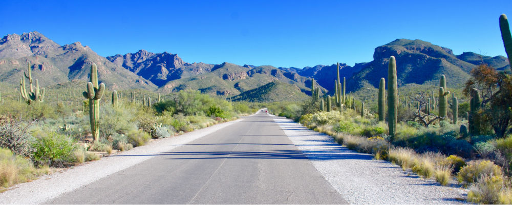 Sabino canyon from the highway